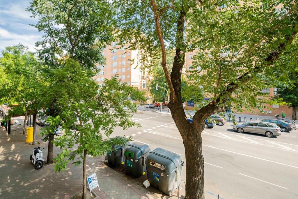 Tranquilo Apartamento En Principe Pio/Pza De Espana Flor Madrid Ngoại thất bức ảnh